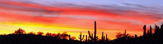Arizona Sunset